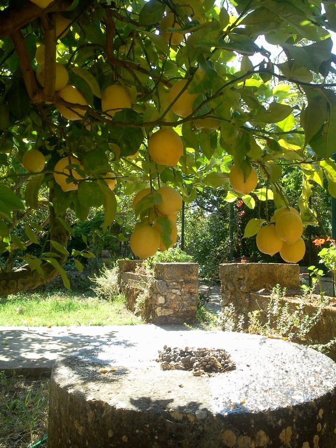 Hotel Gentilini Retreat Argostoli  Zewnętrze zdjęcie
